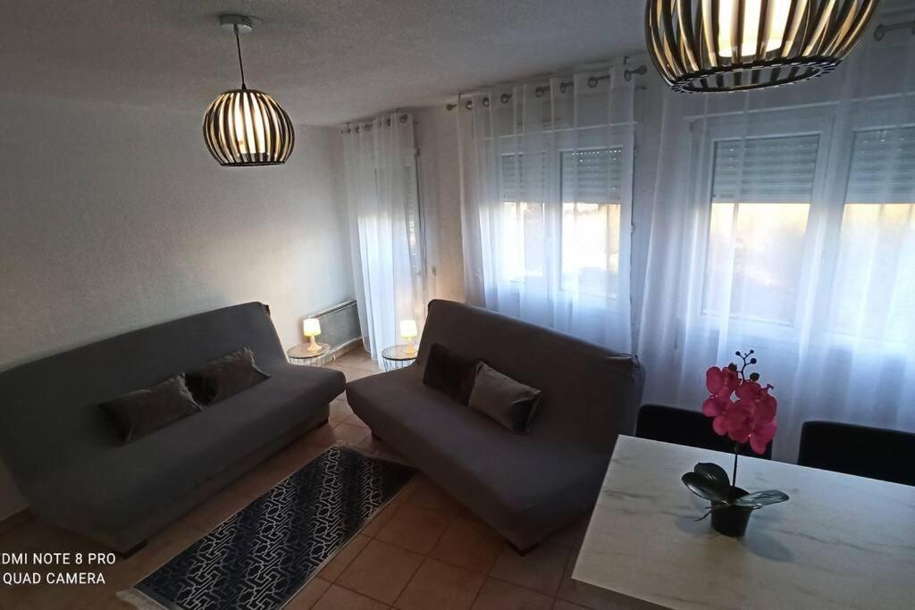 Appartement Face A La Gare Annemasse Eksteriør bilde